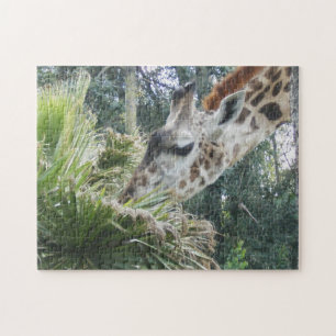 Puzzle Giraffe Mangeant de près