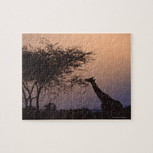 Puzzle Giraffe réticulée 2