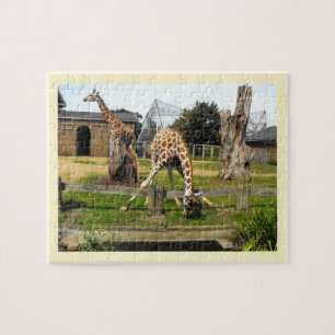Puzzle Giraffes