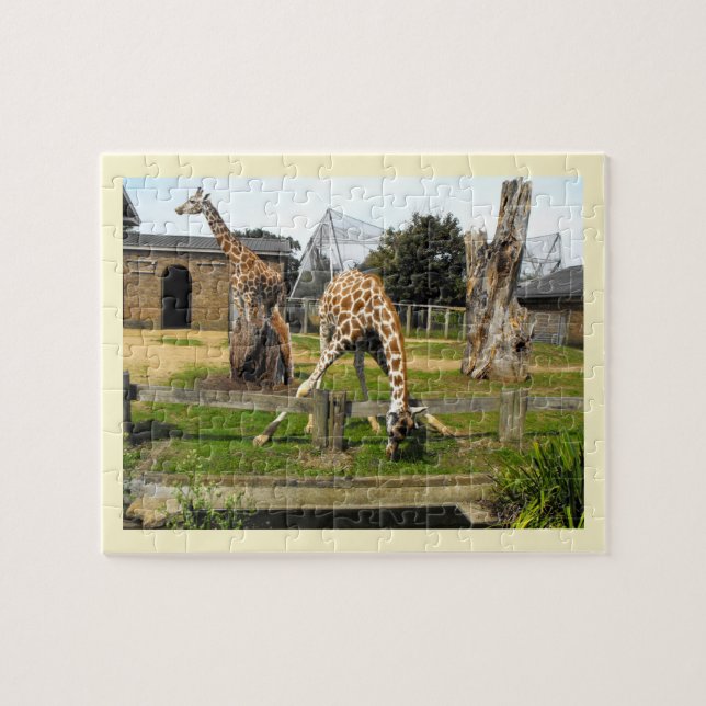 Puzzle Giraffes (Horizontal)