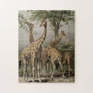 Puzzle Giraffes sud-africaines vintages