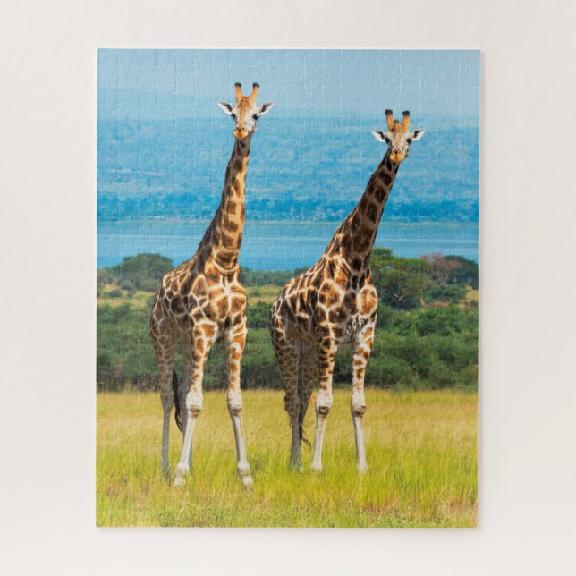 Puzzle Giraffes sur la Savanna, Ouganda (Vertical)