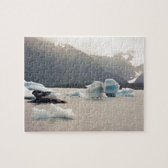 Puzzle Glace bleue (Horizontal)