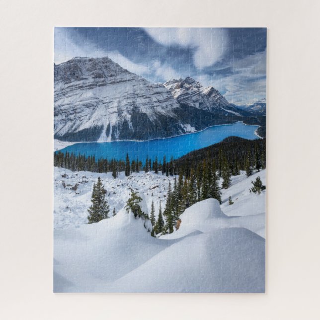 Puzzle Glace et neige | Lac Peyto, Rocheuses canadiennes (Vertical)