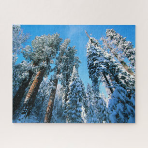 Puzzle Glace et neige Parc national de Sequoia, Califor