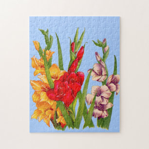 Puzzle gladiola gladiolus