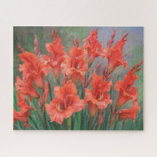 Puzzle Gladioli Fleurs rouges Fleurs florales