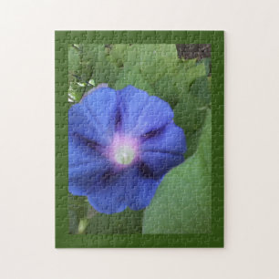 Puzzle gloire du matin bleu