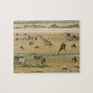 Puzzle Gnous, Zèbres et Girafes