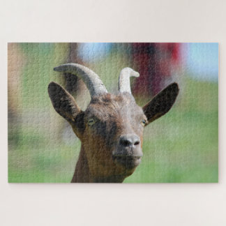 puzzle _ goat