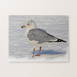 Puzzle Goéland dans la neige