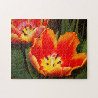 Puzzle Golden Heart Tulip Puzzle, 11" x 14", 252 pieces