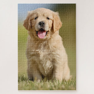 Puzzle Golden Retriever