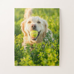 Puzzle Golden Retriever avec balle