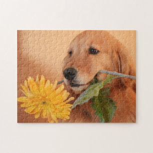 Puzzle Golden retriever avec la casse-tête de fleur