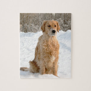 Puzzle Golden retriever dans la neige