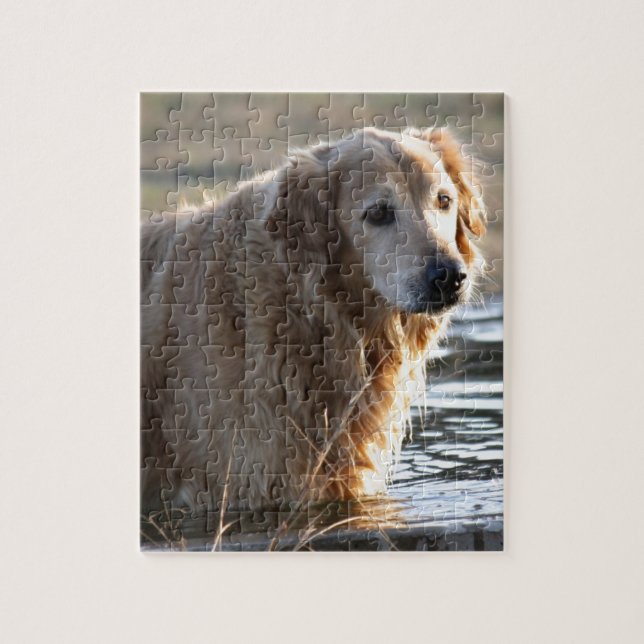 Puzzle Golden retriever dans l'eau (Vertical)