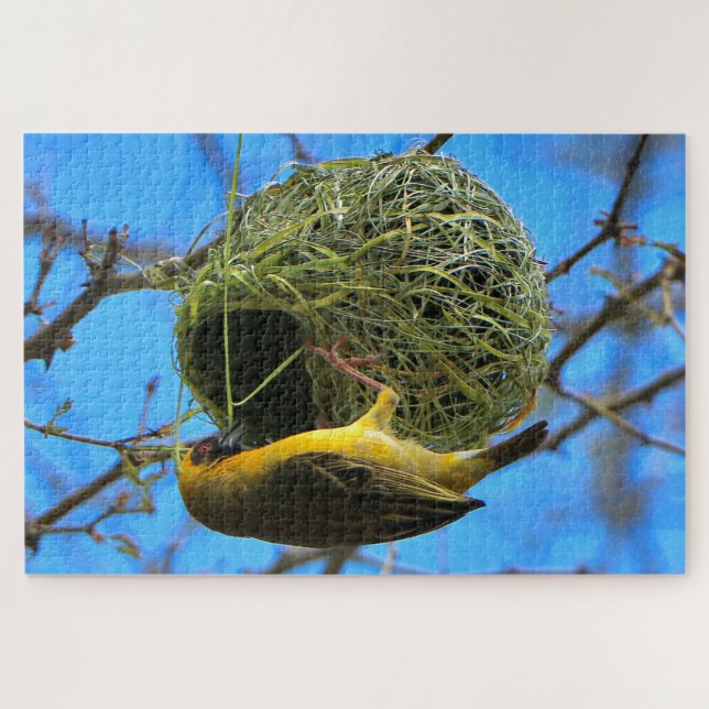 Puzzle Golden weaver bird, Afrique du Sud (Horizontal)