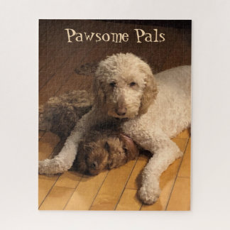 Puzzle Goldendoodle Best Friends - Adorable Dog Duo