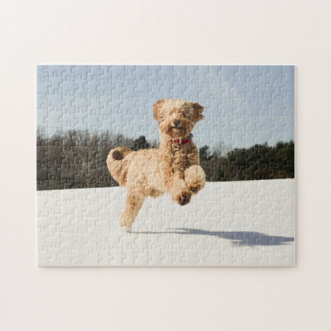 Puzzle Goldendoodle Traversant Le Champ (Horizontal)