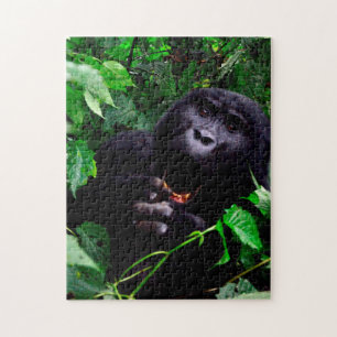 Puzzle Gorille Africain