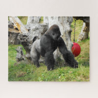 Gorille de silverback de plaine