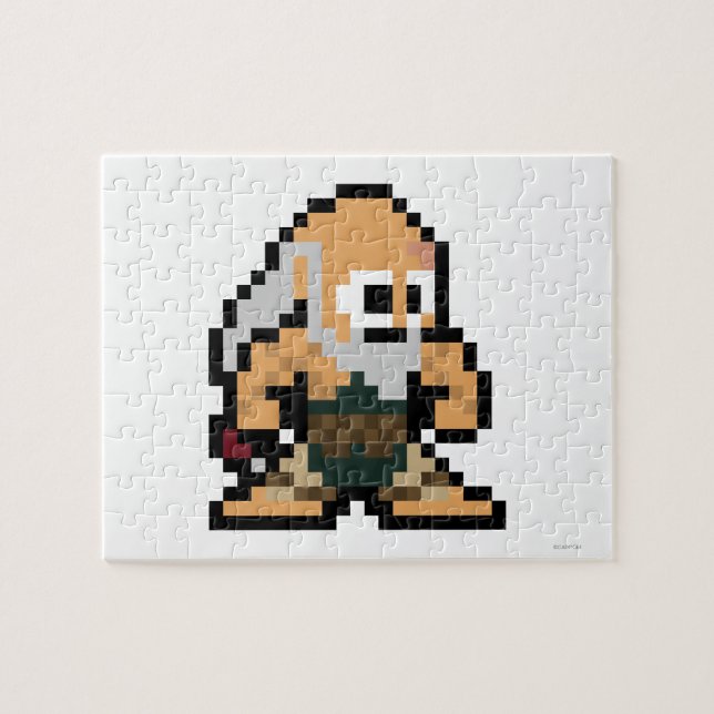 Puzzle Gouken à 8 bits (Horizontal)