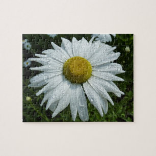 Puzzle Gouttes de pluie sur Daisy II Fleur sauvage Floral