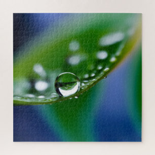 Puzzle Gouttes d'eau de macro
