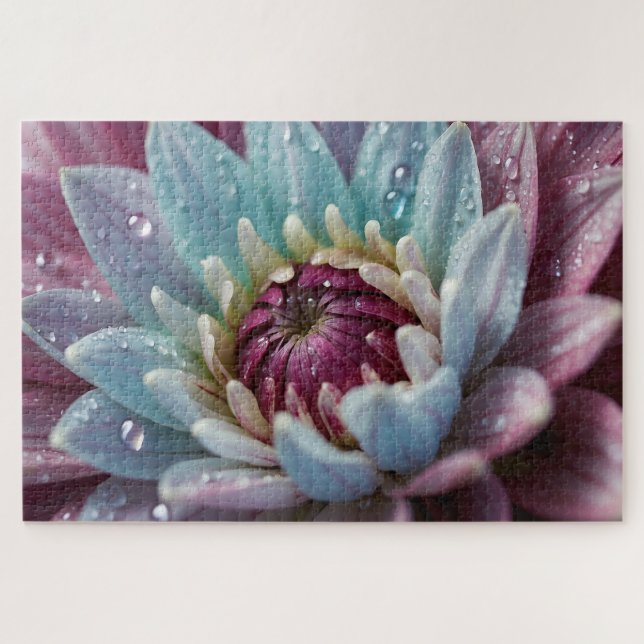 Puzzle Gouttes d'eau sur fleur de dahlia (Horizontal)