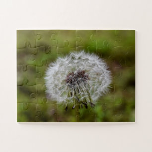 Puzzle Graines de Dandelion