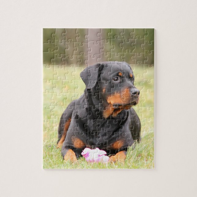 Puzzle Grand beau rottweiler (Vertical)