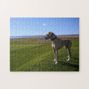 Puzzle Grand chien Dane