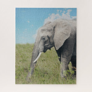 Puzzle Grand éléphant gris exotique marchant
