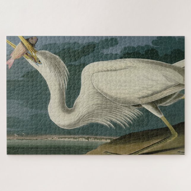 Puzzle Grand héron blanc, des oiseaux d'Amérique d'Audubo (Horizontal)