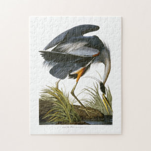 Puzzle Grand héron bleu, John James Audubon