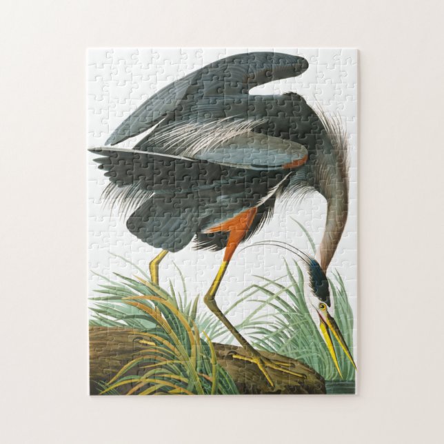Puzzle Grand héron bleu par John James Audubon (Vertical)