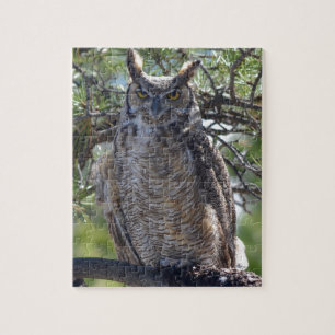 Puzzle Grand hibou à cornes dans l'arbre