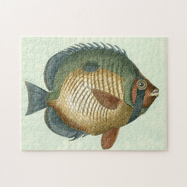 Puzzle Grand Poisson Coloré (Horizontal)
