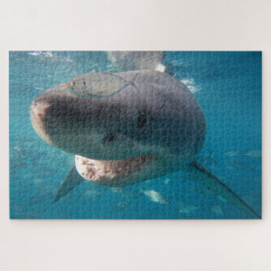 Puzzle Grand requin blanc, 1014 pièces