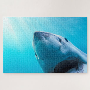 Puzzle Grand requin blanc Afrique du Sud