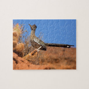 Puzzle Grand Roadrunner