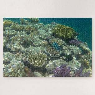 Puzzle grande barrière de corail