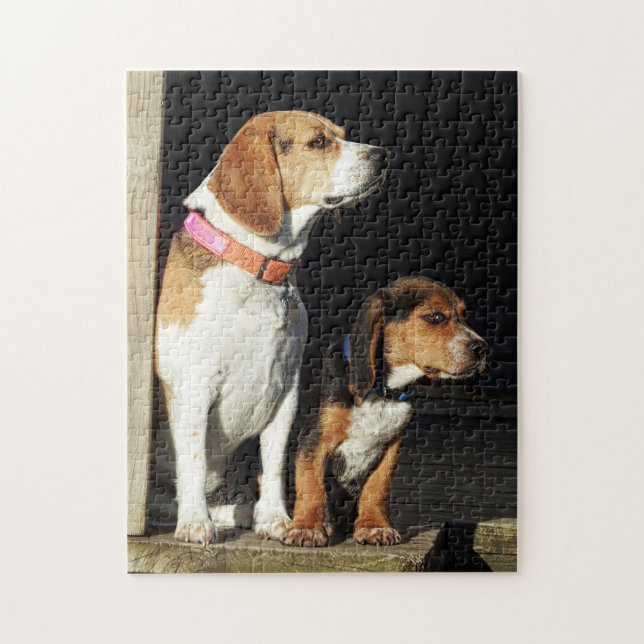 Puzzle Grande soeur de beagle et beagle de petit frère (Vertical)