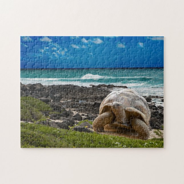 Puzzle Grande tortue au bord de mer (Horizontal)