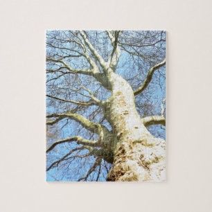 Puzzle Grandes Branches d'arbre ensoleillé dans Ciel bleu
