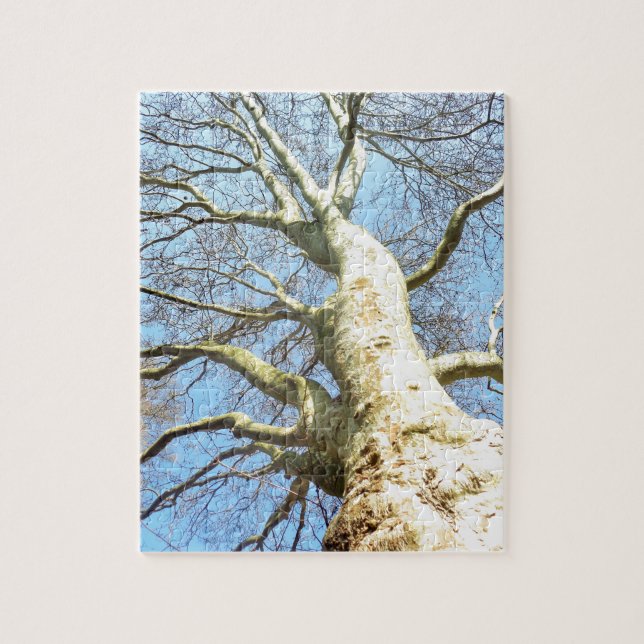 Puzzle Grandes Branches d'arbre ensoleillé dans Ciel bleu (Vertical)