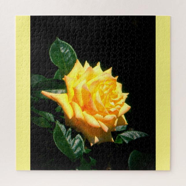 Puzzle Grandpa Dickson rose jaune (Vertical)