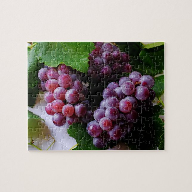 Puzzle Grapevine Fruit Photographie (Horizontal)