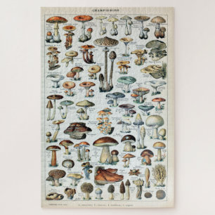 Puzzle Graphique des champignons comestibles Vintages